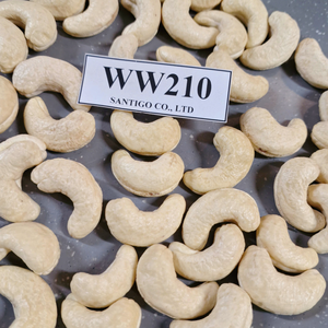 ถั่วเม็ดมะม่วงหิมพานต์ดิบและเมล็ดมะม่วงหิมพานต์ WW210บรรจุภัณฑ์ที่กำหนดเอง W210ถั่วเม็ดมะม่วงหิมพานต์ - Product Image 1