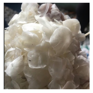 วัสดุจากเกล็ดปลาแปรรูประดับพรีเมียมแหล่งคอลลาเจนขายส่ง | พร้อมส่ง - Product Image 1