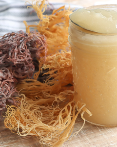 SUN <b>DRIED</b> SEAMOSS CLEAN & NATURAL SEA <b>MOSS</b> WHOLESALE - Product Image 2
