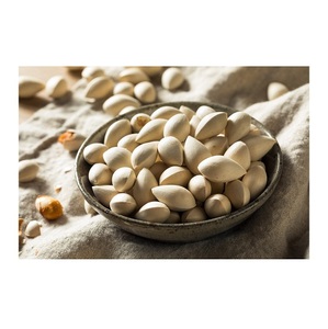 Nueces de Ginkgo Secas de la Mejor Calidad a la Venta al por Mayor - Product Image 6