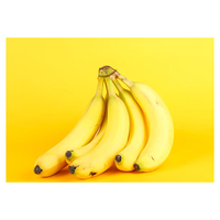 Herbojit International Betrouwbare Leverancier Verse Bananen Super Grade 20kg Kartons Gemaakt in India 40 Dagen Houdbaarheid Heerlijk Fruit