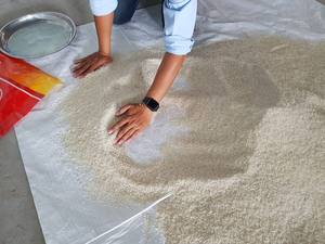 ขายดีที่สุดข้าวหอมกรุ่นดอกมะลิ vilaconic, Riz, เพิ่มขึ้น, Ruz-ข้าวขาวยาวสำหรับตลาดเอเชียตะวันออกกลางแอฟริกา (ms.joice) - Product Image 4