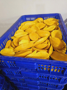 2024 NUEVO CULTIVO MANGO CONGELADO EN CUADROS IQF MANGO MEDIO CORTADO CON MANGO CONGELADO DE ALTA CALIDAD DEL PAÍS TROPICAL - Product Image 4