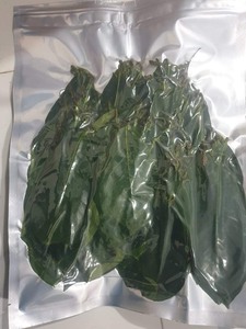 Feuilles de corossol séchées du Vietnam avec un séchage uniforme, une surface propre et une couleur cohérente pour l'exportation en vrac - Product Image 5