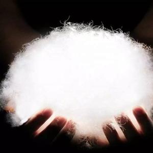 Vente en gros de doudoune d'hiver en satin avec logo personnalisé brillant premium doudounes grande taille veste chaude veste d'hiver hommes couleur unie hommes - Product Image 6