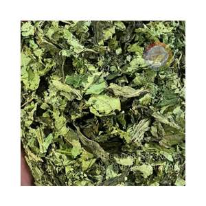 Feuilles de thé de papaye séchées en gros, Vietnam Dak Lak, 1 kg, séchage solaire - Product Image 3
