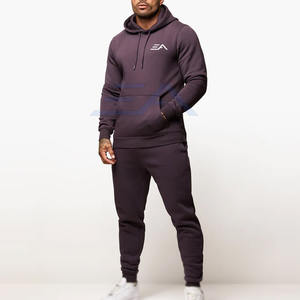 Conjunto Deportivo Informal con Capucha para Hombre, Ropa Deportiva Personalizada, Ecológica, Transpirable, de Poliéster/Algodón, Venta al Por Mayor - Product Image 1