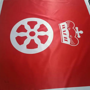 Bandera Publicitaria de Poliéster con Impresión Personalizada OEM, Impresión Digital por Sublimación HD, Aplicaciones de Exhibición Versátiles - Product Image 1