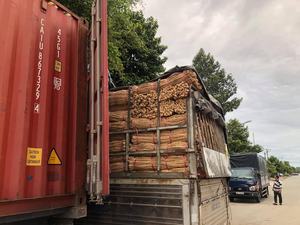 Cuerda de jacinto de agua seca natural ecológica para accesorios artesanales Fabricación de muebles Producto agrícola - Product Image 4