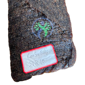 SVR 10 Vietnam Baiyue Bloque de caucho natural de alta calidad Grado de moldeo Resistente al desgaste Rendimiento probado de confianza - Product Image 1