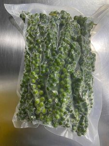Pimienta Verde Fresca de Vietnam con Tallo, Calidad Premium para Exportación, Compradores Mayoristas en Todo el Mundo - Product Image 4