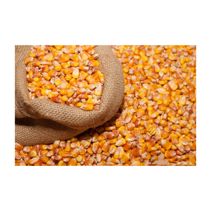 Maíz de grano congelado IQF dulce a granel amarillo - Product Image 6