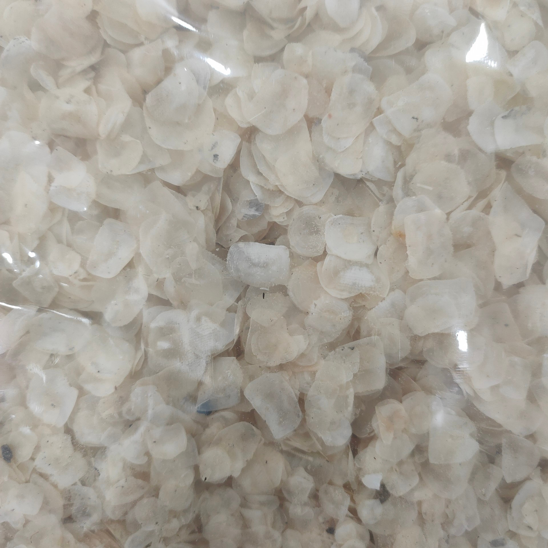 Сушеные Рыбные весы оптом из Вьетнама, высокое качество, чистые