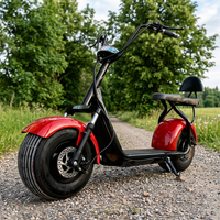 Scooter électrique double siège pour adultes, pneus larges Citycoco, étanche, 1000W/2000W, 20AH, cyclomoteur pour les trajets quotidiens