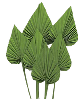 Feuilles de palmier Lance Feuilles de palmier naturelles Lance de palmier Fête des mères Saint Valentin Noël Merci Cadeaux pour chaque fois