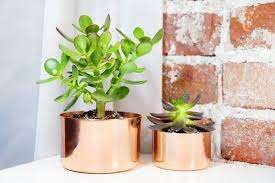 Maceta de flores de forma redonda de cobre con acabado pulido para decoración de jardín doméstico - Product Image 3