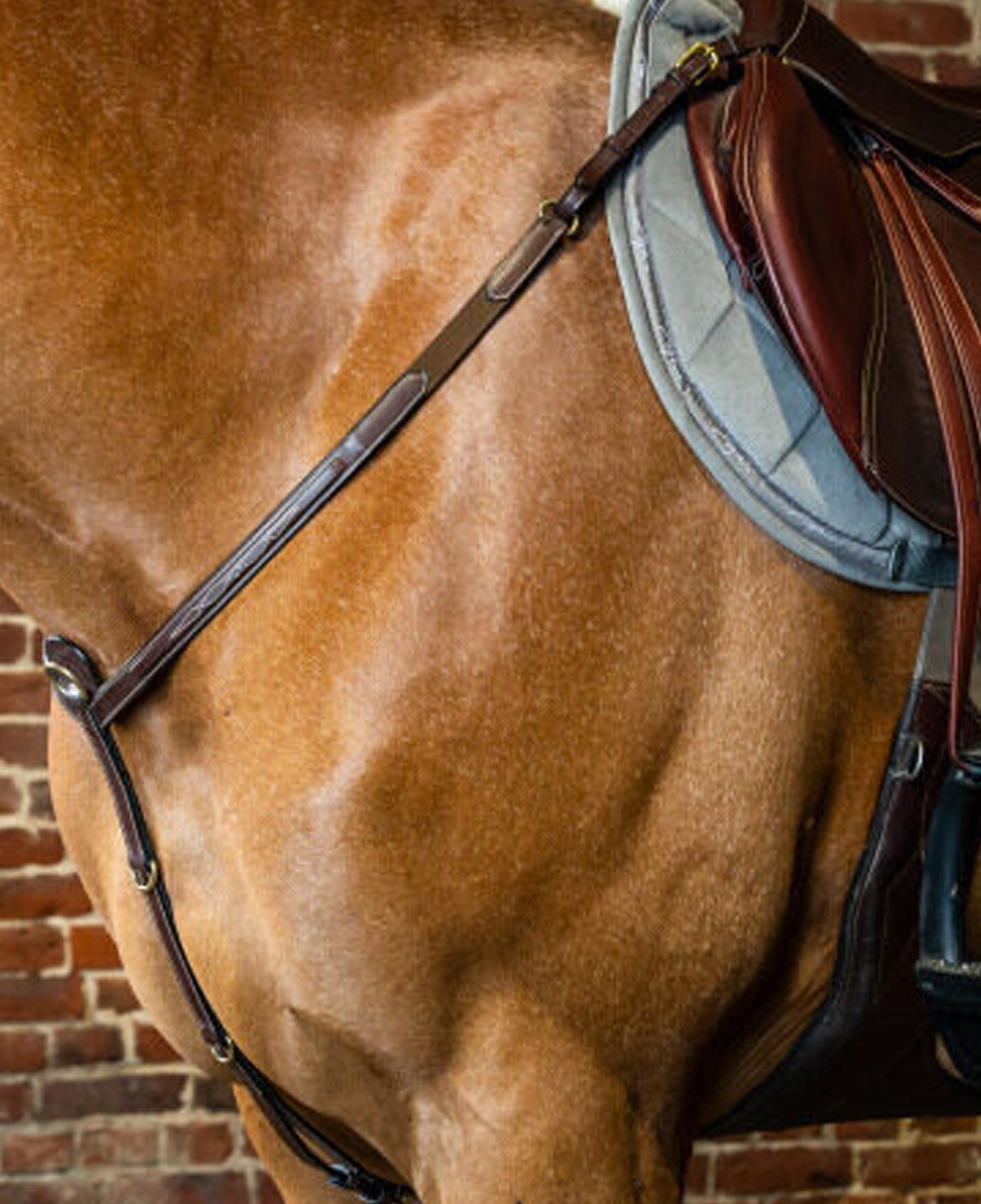 สีน้ำตาล