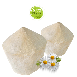 Bebida de estilo fresco de coco pelado con diamante con concha para bañistas - Product Image 1