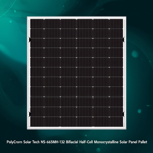 Panel Solar Monocristalino Bifacial de Media Celda PolyCrown Solar Tech NS-665MH-132 en Paleta - Product Image 3