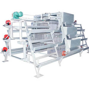 Jaula para Pollos Tipo A con Sistema Automático de Alimentación y Bebederos para Granjas de Producción de Huevos a Gran Escala - Product Image 3