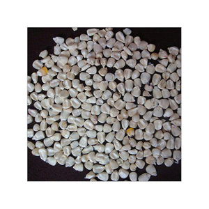 Maíz blanco agrietado/roto seco/maíz no GMO apto para alimentación animal - Product Image 2