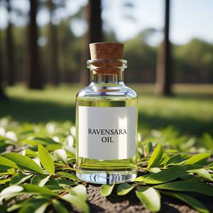 Venta al por mayor de aceite esencial de Ravensara 100% ACEITE DE Ravensara de grado terapéutico orgánico puro para difusor cuidado de la piel - Product Image 5