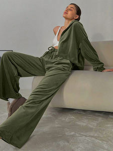 Sudaderas con capucha y pantalones de chándal con logotipo personalizado, conjunto de chándal para mujer, chándal para mujer, conjunto de dos piezas, pantalones de chándal y Sudadera con capucha, conjunto de terciopelo para mujer - Product Image 2