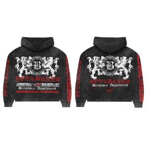 OEM High Quality Plain Oversized Unisex Hoodie Custom Men's Hoodies & Sweatshirts Performance 3d <b>Foam</b> Print Hoodie - Product Image 5