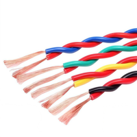 Câble torsadé à 2 conducteurs 10 mm² en cuivre pur, haute résistance à la traction 450-750 V, adapté aux interphones de porte et au câblage de sécurité des bâtiments