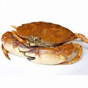 Vente en gros de cuisses de crabe royal Crabes royaux de qualité congelés Crabes des neiges à vendre - Product Image 3