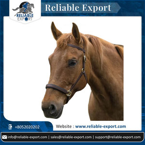 Última colección de cuero ajustable cómodo caballo ecuestre Bio PVC Thane brida para carreras de caballos - Product Image 2