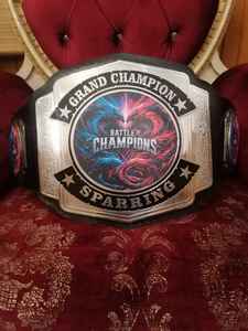 Ceintures de championnat personnalisées Trophées Médailles et récompenses Symbole ultime de la victoire Excellence Accessoires de mode - Product Image 2