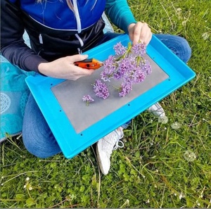 Two Layers Trim Tray Kit Bin <strong>Bud</strong> Trimming Pollen Sieve Sifter Herb <strong>Trimmer</strong> Trays - Product Image 6