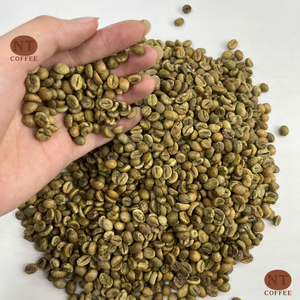 พร้อมจัดส่ง เมล็ดกาแฟอาราบิก้าเขียวจากเวียดนาม แบบไม่ผ่านการคั่ว จำหน่ายจำนวนมาก บริการ OEM/ODM มีให้บริการ ผู้ส่งออกจากเวียดนาม - Product Image 1