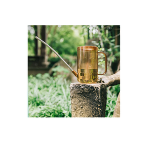 Pot d'arrosage coloré de jardin en laiton léger de conception différente en gros pour les plantes d'intérieur et d'extérieur - Product Image 2