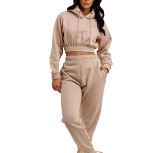 Prix usine personnalisé femmes sport sweat à capuche haute qualité coton mince col en v culture longue coupe ample hiver court 2026 - Product Image 5