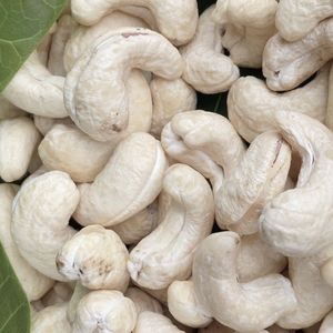 Prix d'usine de confiance des noix de cajou W180 Qualité commerciale Santigo Vietnam Usine Emballage personnalisé - Product Image 1