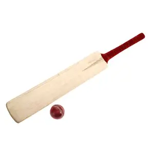 International Player Edition Kashmir Willow Cricket Bat with Strong Grip for Adult by Srishti Creations International