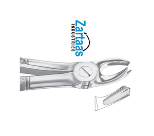 Fórceps de extracción de acero inoxidable de alta calidad molares superiores derecha Fig 65R exportadores y fabricante - Product Image 2