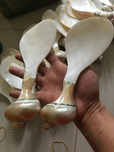 Premium Mother of Pearl Seashell Spoon for Caviar and Desserts Elegant Natural Material Ideal for Wholesale and Export - Product Image 4