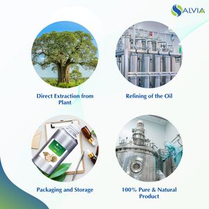 Aceite de Baobab 100% puro y natural al por mayor a granel precio más bajo embalaje personalizado - Product Image 4