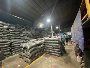 Granos de Café Verde de Vietnam Más Vendidos para el Mercado Global # Arabica Full Washed Origen Son La - Product Image 6