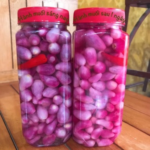 Premiunm Quality Pickled Red Onions Gluten Free 16 Fluid Ounce Jar Export Grade From Vietnam - Product Image 1