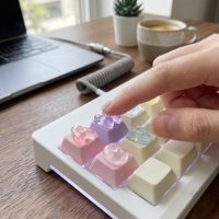 Porte-clés personnalisé en PBT avec lettres 3D en gelée, clé de clavier, fidget clicker, merchandising de soutien pour les fans d'idoles Kpop, cadeau personnalisé, jouet de bureau