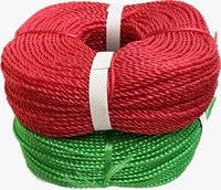 Cuerda Trenzada de PE de Alta Resistencia, Duradera y Flexible, de 2-24 mm, Suave y Resistente, Embalaje en Bobina, Certificación ISO 9001