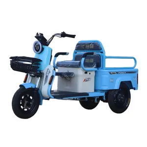 Oem China Cheap 3 Wheel Electric Cargo Truck Electric Cargo Tricycle