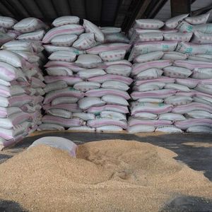 Farine de soja riche en protéines et en fibres en vrac, directement de l'usine, pour l'alimentation des volailles, du bétail et des animaux - Product Image 3
