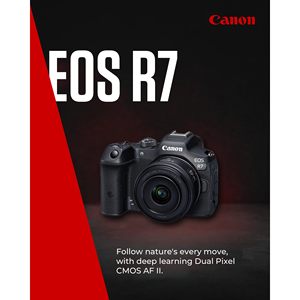 Appareil photo numérique hybride professionnel 32,5 MP avec capteur CMOS Dual Pixel AF II, compositage en appareil photo, diffusion en direct UVC UAC - Product Image 5