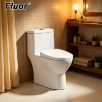 WC monobloc en céramique turque dorée, style européen, pour salle de bain familiale, à vendre
