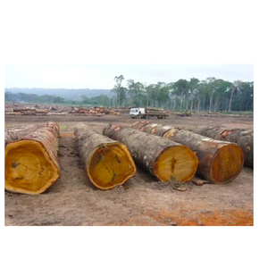 Tali Wood Lumbers Calidad superior Ecológico Resistente al agua Hojas de madera duraderas fuertes Garantía de 5 años Precios bajos a granel - Product Image 2